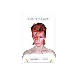新品パズル ALADDIN SANE(アラジン・セイン) 「LEGEND OF ROCK」 ジグソーパズル 120ピース [120-0