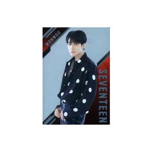 中古食玩 ステッカー・シール ウォヌ レアシール 「SVTツインウエハース From PLEDIS ...