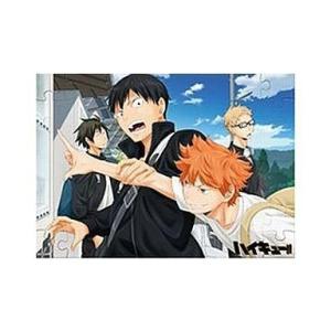 中古食玩 パズル 日向 影山 月島 山口 青空 ハイキュー パズルガム の最安値 価格比較 送料無料検索 Yahoo ショッピング