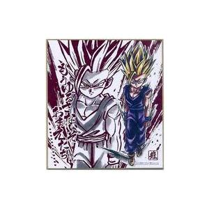 イタジャガ ドラゴンボール Vol.8 8-17孫悟飯 スーパースペシャルレア
