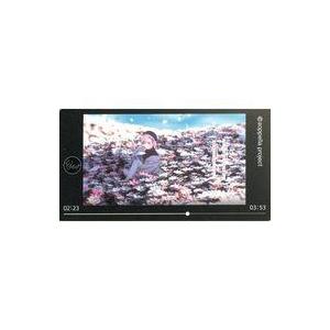 中古シール・ステッカー 綾瀬光緒(歌詞) 「アオペラ -aoppella!?- ベストマイショットス...