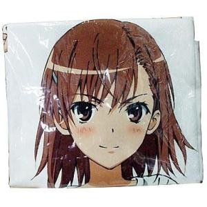 とある魔術の禁書目録外伝 とある科学の心理掌握 ビッグアクリル