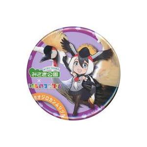 中古バッジ・ピンズ ホオジロカンムリヅル 缶バッジ 「みさき公園×けものフレンズ 〜飛び出せみさきフ...