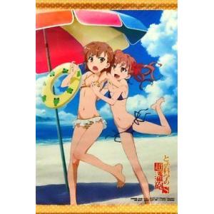 中古タペストリー 御坂美琴＆白井黒子 B3タペストリー 「DVD/Blu-ray とある科学の超電磁...