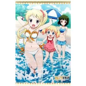 中古タペストリー 忍＆アリス＆カレン B3アニメ描き下ろしイラスト使用タペストリー 「BD/DVD ...
