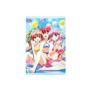 中古タペストリー 集合 描き下ろしイラスト使用B2タペストリー 「Blu-ray 魔法少女リリカルな...