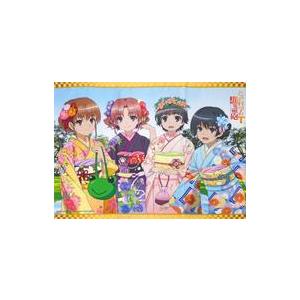 中古タペストリー 集合 アニメ描き下ろしB2タペストリー 「Blu-ray/DVD とある科学の超電...