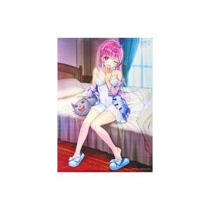 中古タペストリー [単品] 湊あくあ B2タペストリー 「PS4/Switchソフト あくありうむ。...