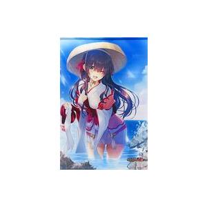 中古タペストリー 竹中詩乃重治 描き下ろしB2タペストリー 「PCソフト 戦国†恋姫EX参 〜毛利家...