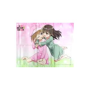 中古タペストリー サラサ＆ロレア アニメ描き下ろしイラスト使用B2Wスエードタペストリー 「Blu-...