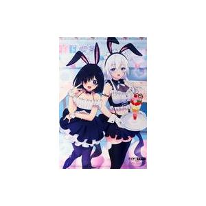 中古タペストリー 姫路白雪＆椎名紬 B2アニメ描き下ろしタペストリー 「Blu-ray ライアー・ラ...