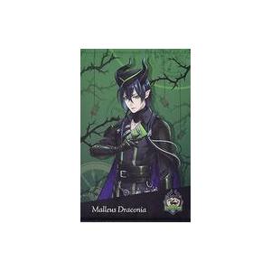 中古タペストリー(大型) マレウス・ドラコニア ...の商品画像