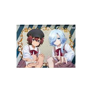 中古タペストリー サラ＆モニカ アニメ描き下ろしイラスト使用B2ダブルスエードタペストリー 「スパイ...