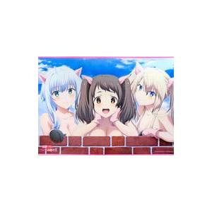 中古タペストリー ミーシャ＆サーシャ＆ミサ 描き下ろしB1タペストリー 「Blu-ray/DVD 魔...