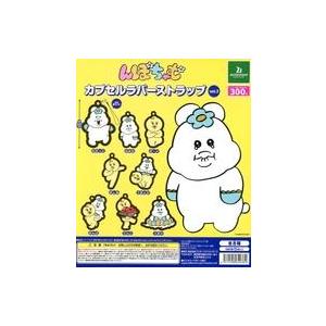 中古紙製品 ガチャ台紙 「んぽちゃむ カプセルラバーストラップ Vol.2」