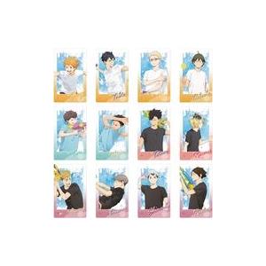 HV-P01 ハイキュー!! バボカ!! BREAK ブースターパック ゴミ捨て場の