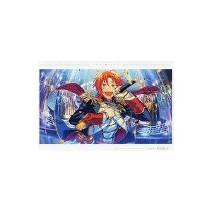 あんさんぶるスターズ テーマスカウト缶バッジ 2021 WINTER -Idol Side