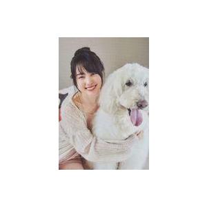 中古ポストカード 賀喜遥香(乃木坂46)/犬 ポストカード 「WHITE graph 010」 封入...