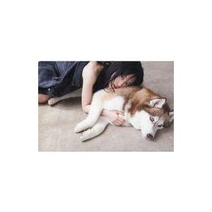 中古ポストカード 山下美月 ポストカード 「乃木坂46 山下美月2nd 写真集 『ヒロイン』」 星野書店購入特