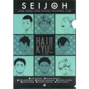 ハイキュー 春夏秋冬シリーズクリアファイル 音駒・梟谷 B