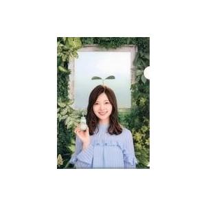 中古クリアファイル(女性アイドル) 白石麻衣 A...の商品画像