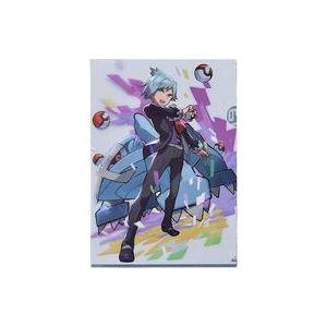 ポケットモンスター 缶バッジコレクション ホウエン編A ダイゴ