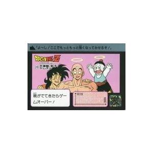中古カオス MV-PR002[PR]：睨み付ける“戦姫”「ミラ」 : 駿河屋Yahoo!店
