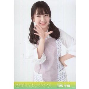 中古生写真(AKB48・SKE48) 田島芽瑠/上半身/「2017.05.27」/AKB48グループ...