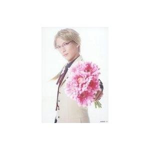 文豪ストレイドッグス×サンリオデザインプロデュース ぬいぐるみ 太宰