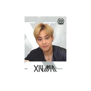 中古コレクションカード(男性) EXO/XIUMIN(シウミン)/FCイベント「EXO-L-JAPA...