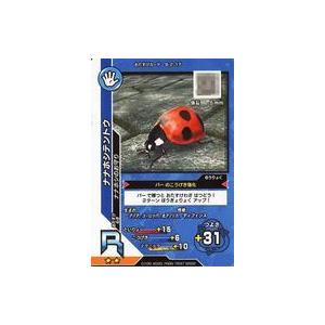 中古ムシキング S-2-17[R]：ナナホシテントウ