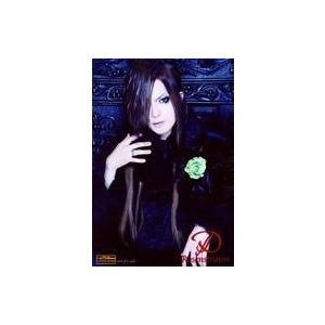 中古生写真(男性) D/HIDE-ZOU/上半身・衣装黒青・右手髪・胸元に花・背景青/CD「Rose...