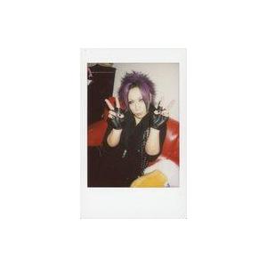 中古生写真(男性) the Raid./一陽/膝...の商品画像