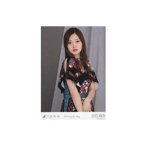 中古生写真(坂道シリーズ) 白石麻衣/上半身/2019 福袋 Lucky Bag