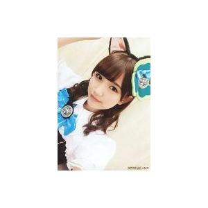 中古生写真(AKB48・SKE48) ニャーKB with ツチノコパンダ/加藤玲奈/CD「アイドル...