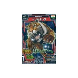 中古グレートアニマルカイザー M-147[ノーマル]：超絶お仕置き・その九