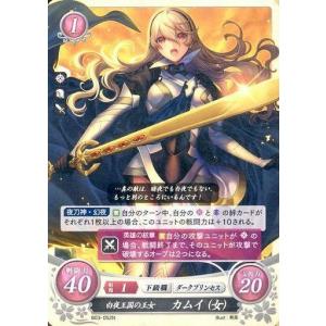ファイアーエムブレム サイファ B19-084 黒衣の魔剣騎 アレス (N