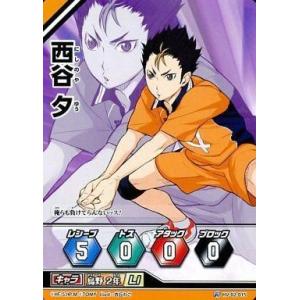 マグマ団のグラードン [アクア団ハーフデッキW] 019/033 傷有り