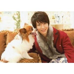 中古生写真(男性) 小越勇輝(越前リョーマ)/横...の商品画像