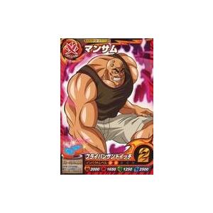 中古アニメ系トレカ T11-07[ノーマル]：マンサム