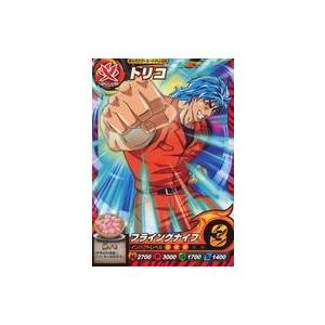 中古アニメ系トレカ PJ-04：トリコ