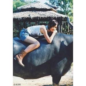 中古生写真(AKB48・SKE48) 前田敦子/水牛：横/DVD「無防備」特典