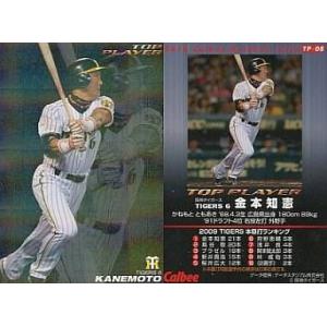 中古スポーツ TP-08：金本 知憲