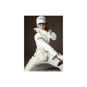 中古生写真(男性) 和田雅成(白血球(好中球))/膝上・キャラクターショット/Blu-ray＆DVD...