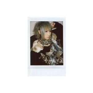 中古生写真(男性) UNiTE.(ユナイト)/ゆ...の商品画像