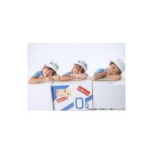 子役タレントの商品一覧 通販 Yahoo ショッピング