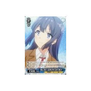 ヴァイスシュヴァルツ 青春ブタ野郎はバニーガール先輩の夢を見ない