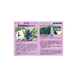 早川 カード 商品詳細 | トレカアイテムくじOnline