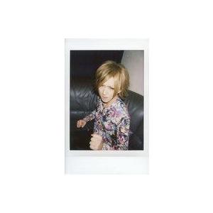 中古生写真(男性) カメレオ/Daisuke/膝...の商品画像