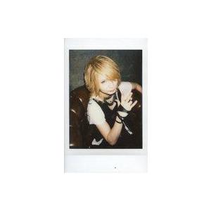 中古生写真(男性) DaizyStrippe/R...の商品画像